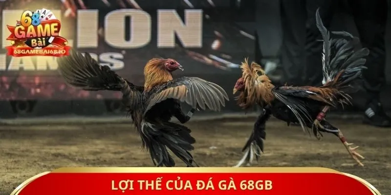 Lợi thế của đá gà 68gb
