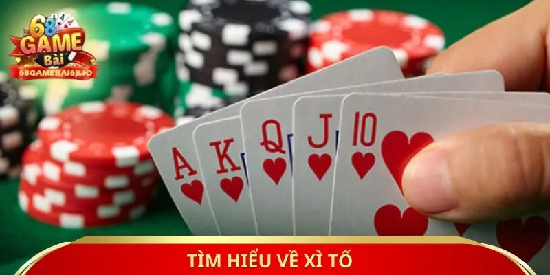 Tìm hiểu về xì tố